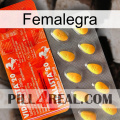 Femalegra new01